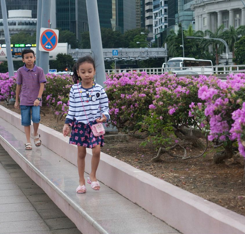 Павел Ионин | 