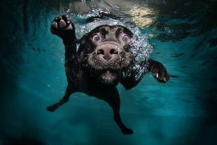 Ольга Майса | Москва