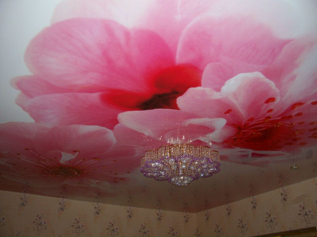 Maikl Астафьев | Саранск