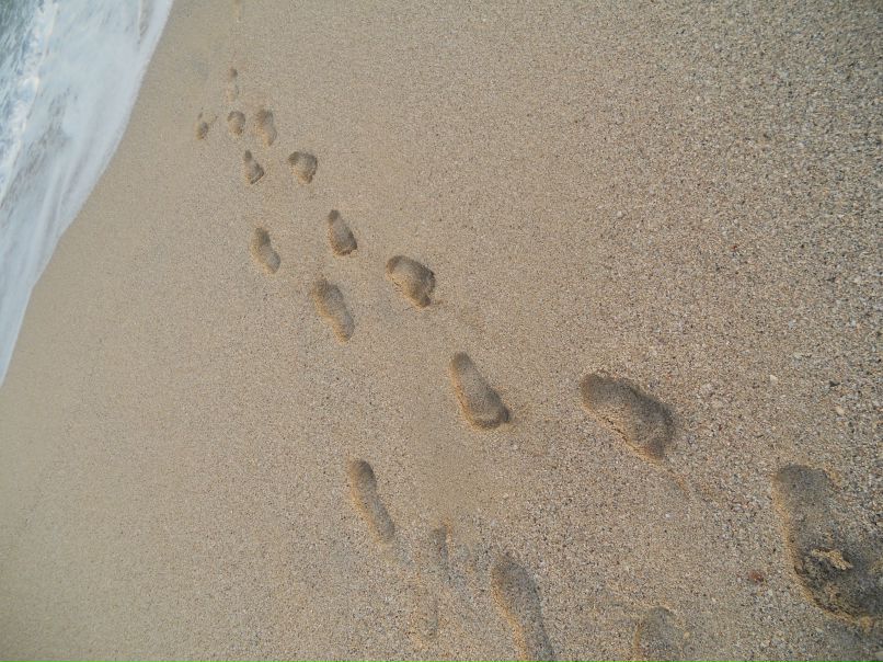 Фарида Мамедова | Москва