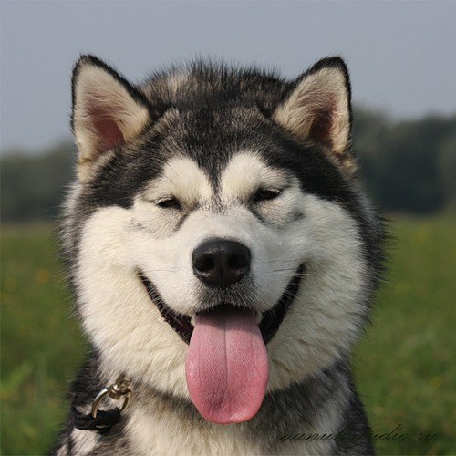 Степан Фомин | Челябинск