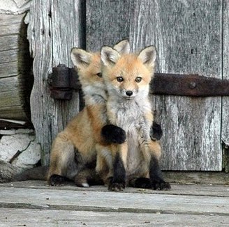 Меруерт Айткалиева | 