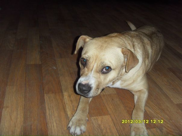 №11, Сергей Погосян serg, 34 года, Киев №11, Сергей Погосян serg, 34 года, Киев