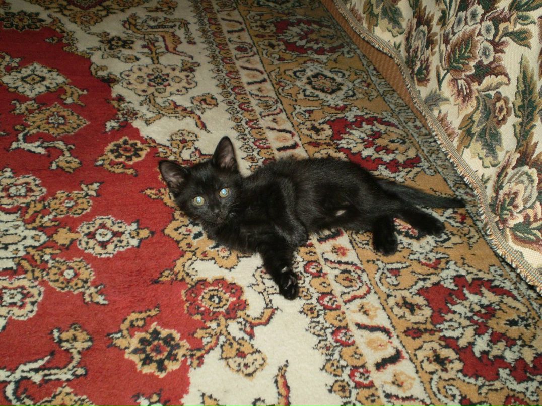 Александра Центнер | Ульяновск