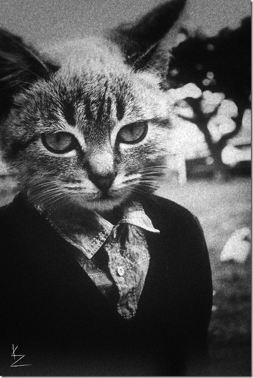 Александр Зишин | Тюмень