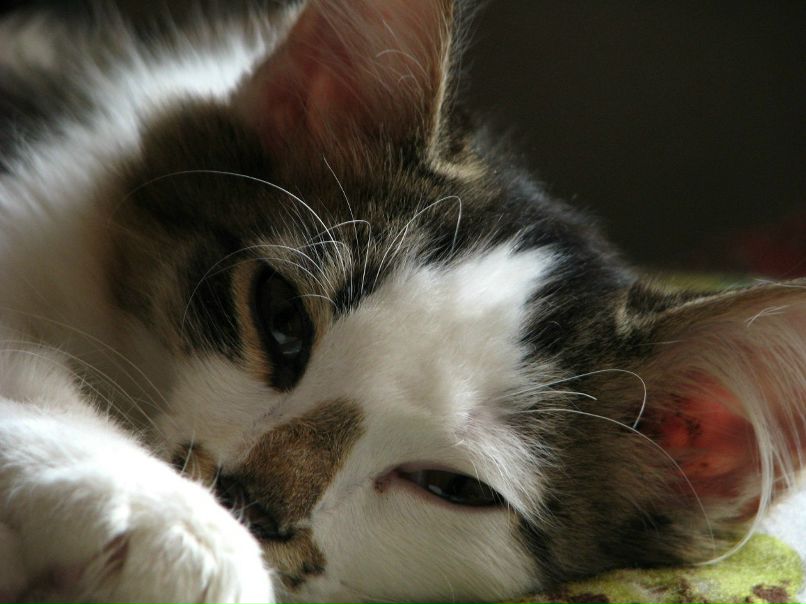 Яна Благинина-Балакина | Миасс