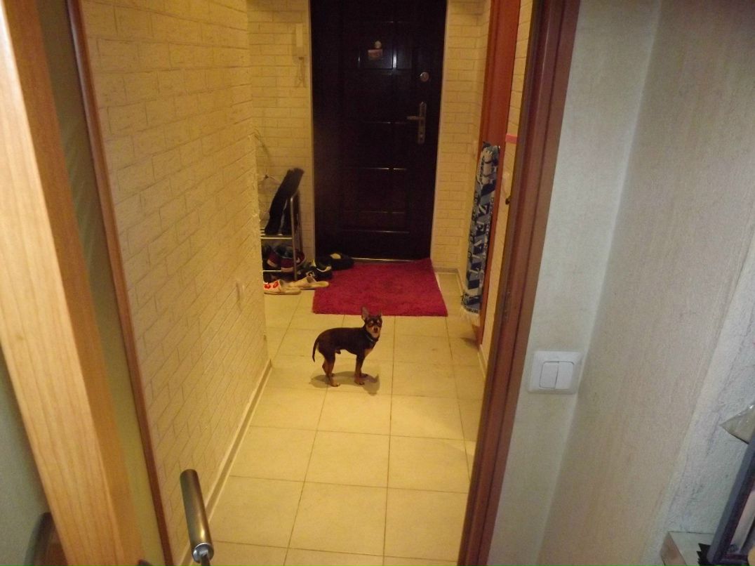 Василий Чиликин | Санкт-Петербург