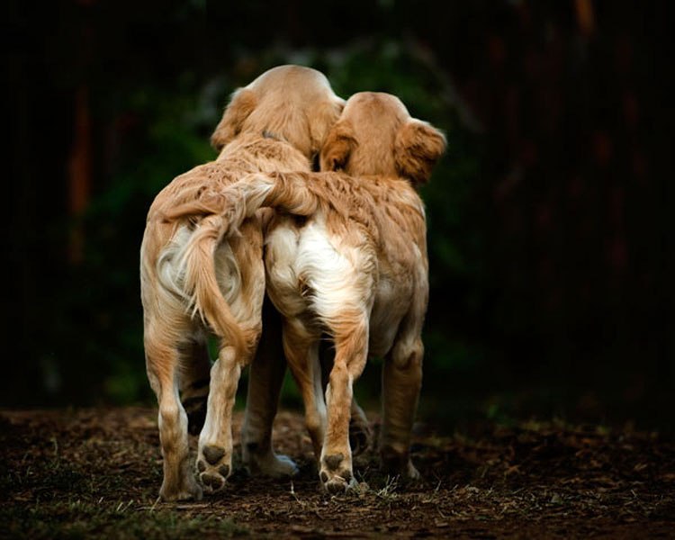 Наталья Терехова | Санкт-Петербург