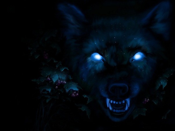 №47, Илья Барисевич №47, Илья Барисевич