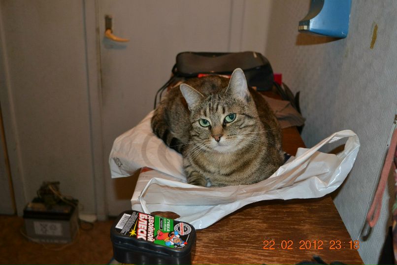 Просто Такая | Санкт-Петербург