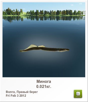 Владимир Савельев svn | Станица Луганская