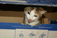 №31 Кристина Грохотова 29.12.1987: профиль, фото, статус - ВКонтакте №31 Кристина Грохотова 29.12.1987: профиль, фото, статус - ВКонтакте