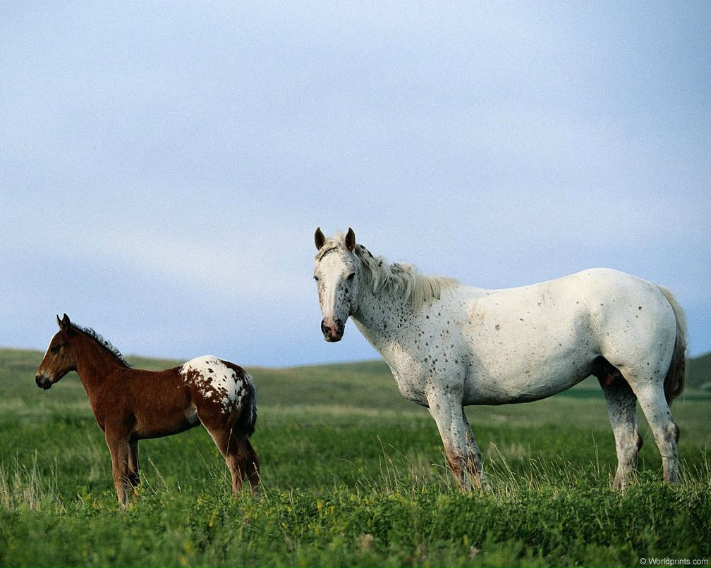 Татьяна Жамалова | Княгинино