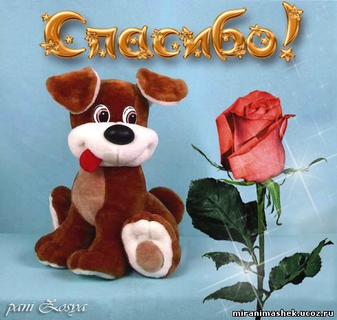 Сергей Цибулин | Прокопьевск