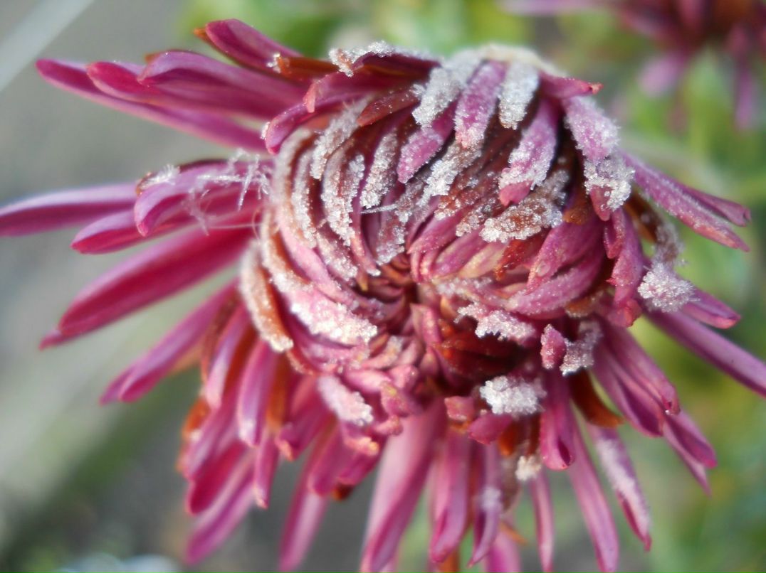 Ира Досычева | Горловка