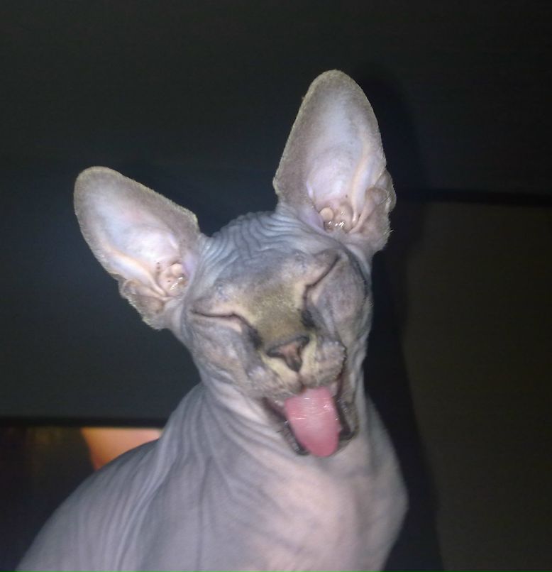 Венера Паймуллина | Тольятти