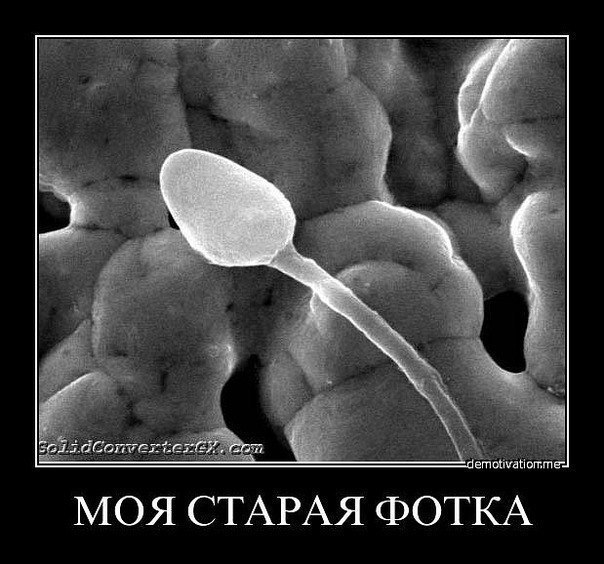 Артем Дьяков | Краснодар