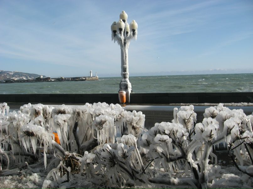 Татьяна Побокова-Ткаченко | Харьков