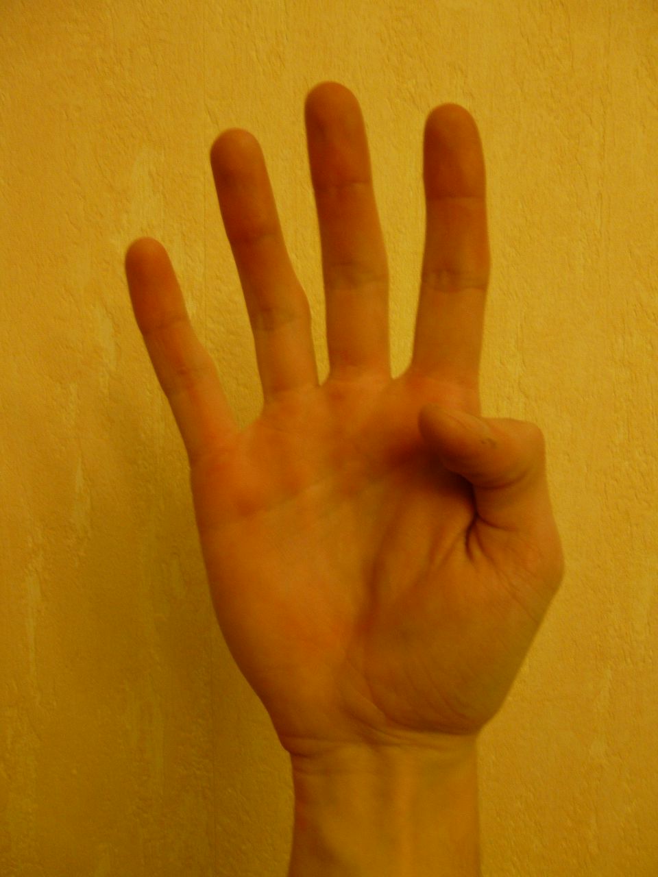 Антон Пивоваров | 