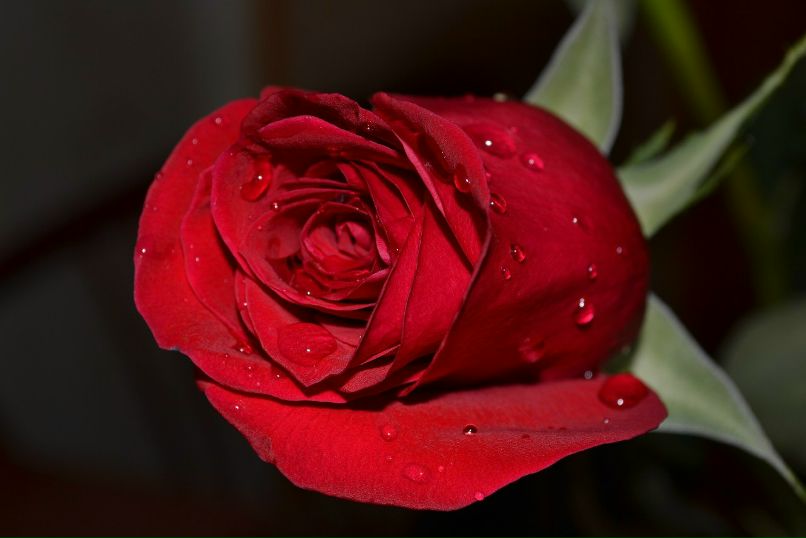 Ольга Ступина | Уфа