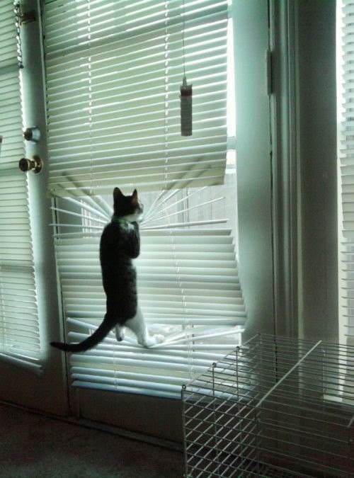 Sergiusz Waśko | Rybnik