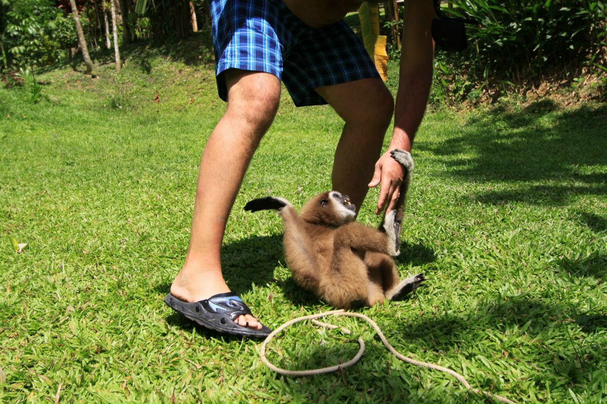 Александр Ковалёв | Paris