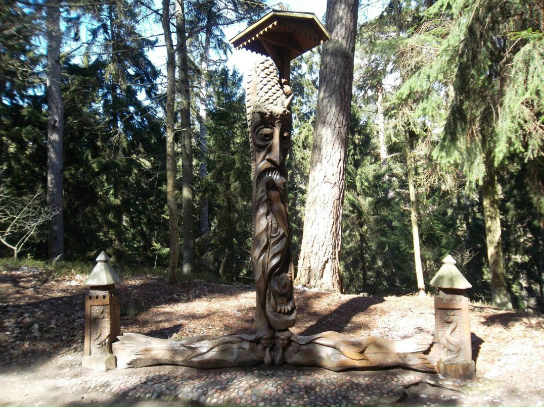 Константин Пигарёв | Санкт-Петербург