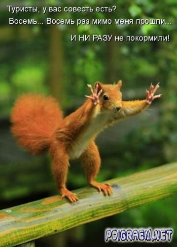 Надежда Сташкова | Пермь