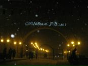 Фотография Виола Полякова