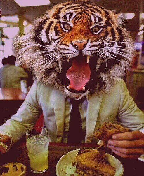 The Racer | Plymouth