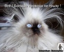 Фотография Коваленко Владислава