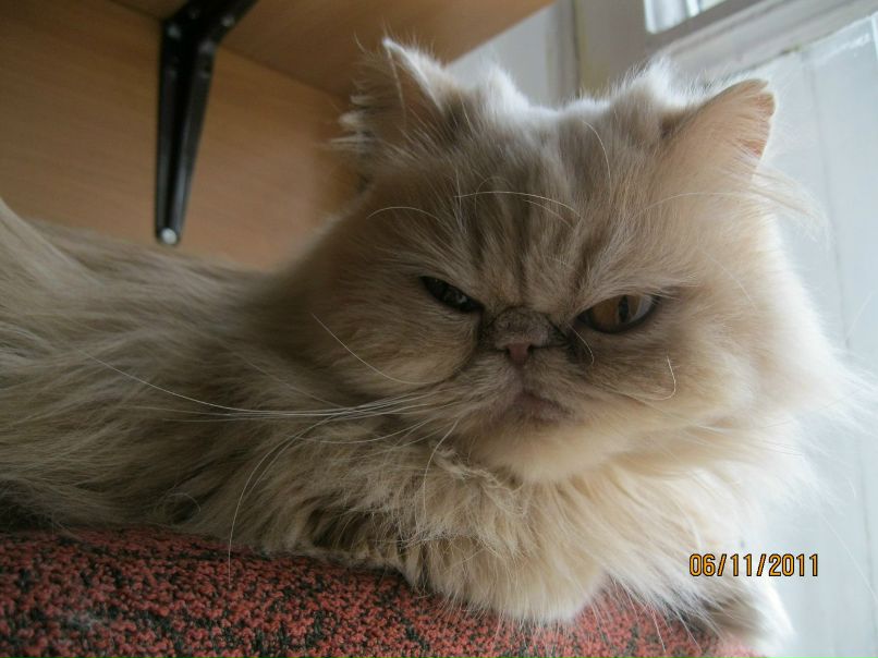 Наталия Соловьева | Санкт-Петербург