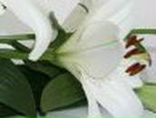 Кристина Петраш | Запорожье