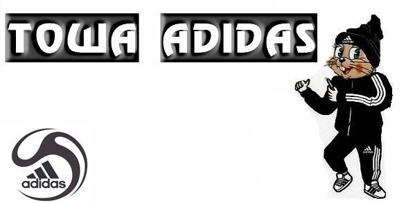 Антон Нижниковський | Запорожье