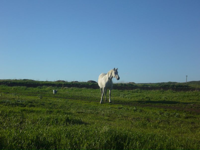 Анастасия Павлова | Оренбург