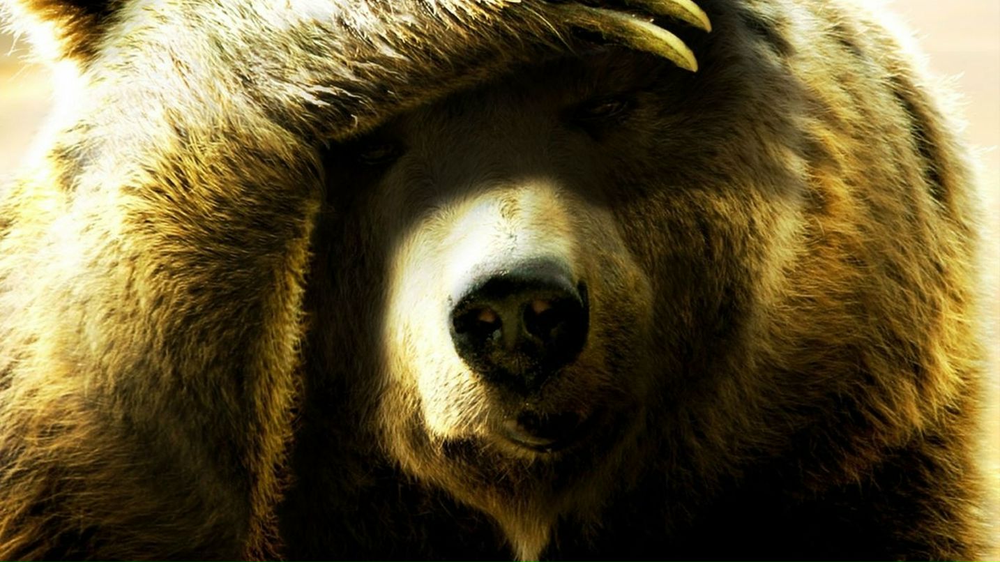 Григорий Раянов _[F]estiva[L]_ | Санкт-Петербург