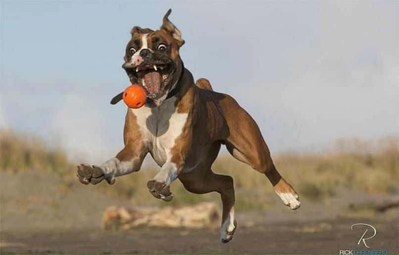 Irina Tereshchuk | Miami Beach