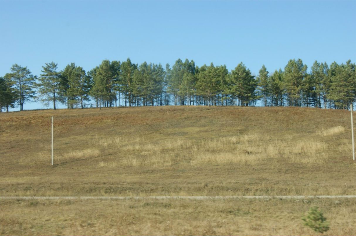 Сёма Марков ''krapal'' | Иркутск