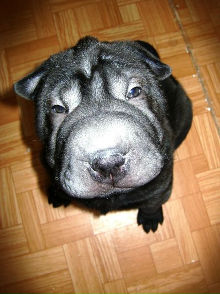 №51, Дмитрий Журавлёв, 48 лет, Тюмень, Россия №51, Дмитрий Журавлёв, 48 лет, Тюмень, Россия