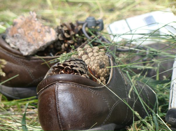 №15, Ариночка Соснина №15, Ариночка Соснина