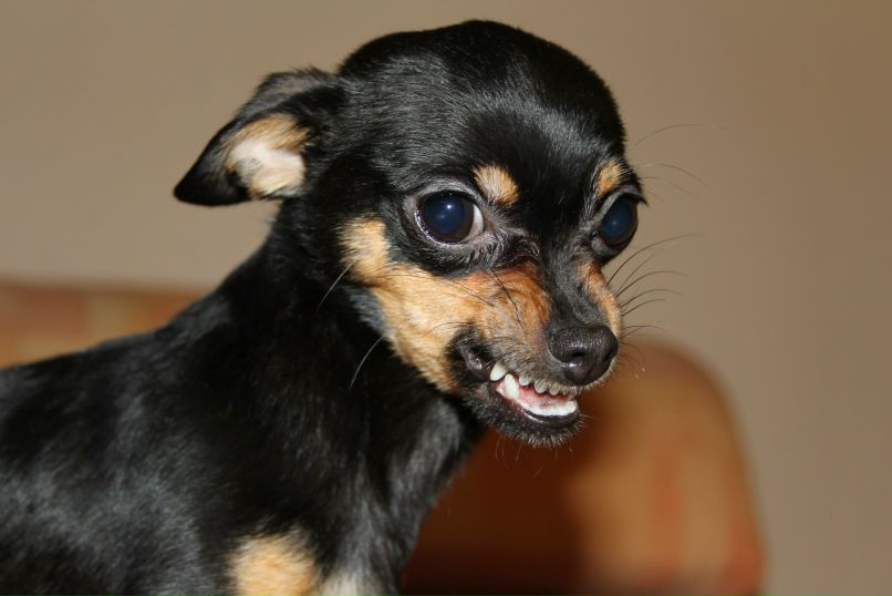 Наталья Демидова | Тюмень