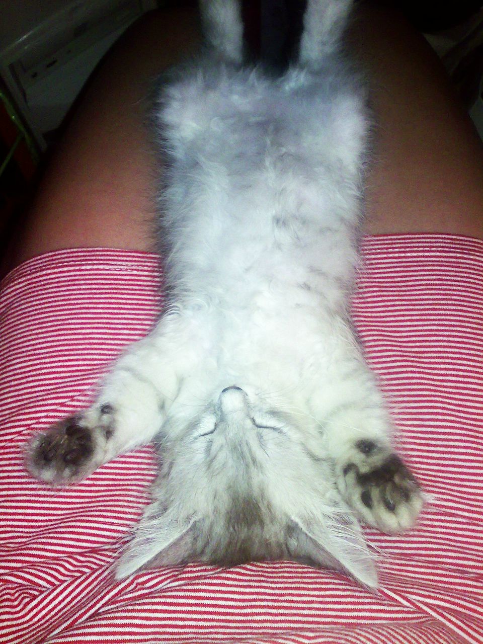 Аня Шевчук | Киев