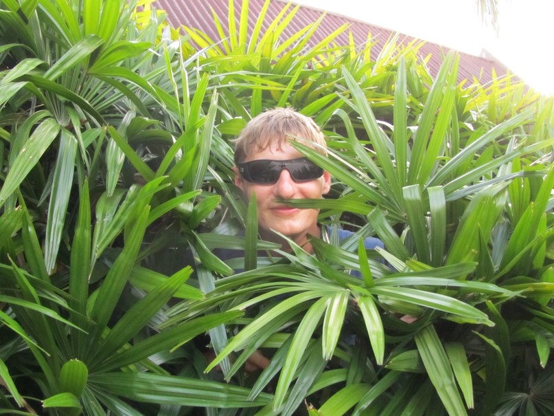 Александр Токарчук Tokarino | Желтые Воды