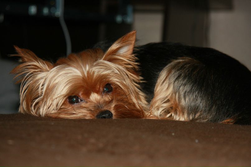 Олечка Титова princessa | Москва