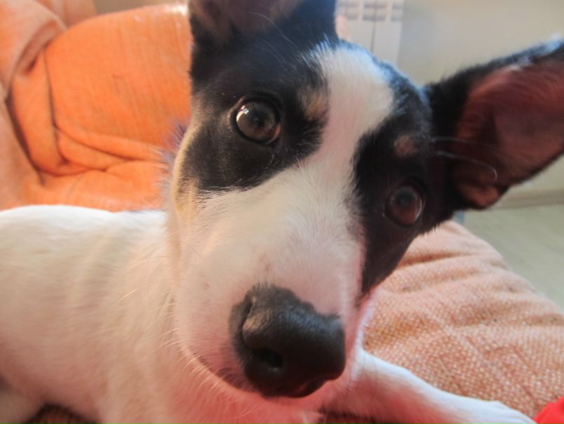 №81, Федор Сидорович, 40 лет, Минск №81, Федор Сидорович, 40 лет, Минск