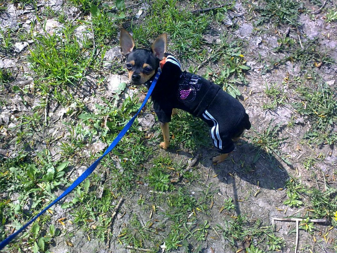 Карина Клёпа | Ростов-на-Дону