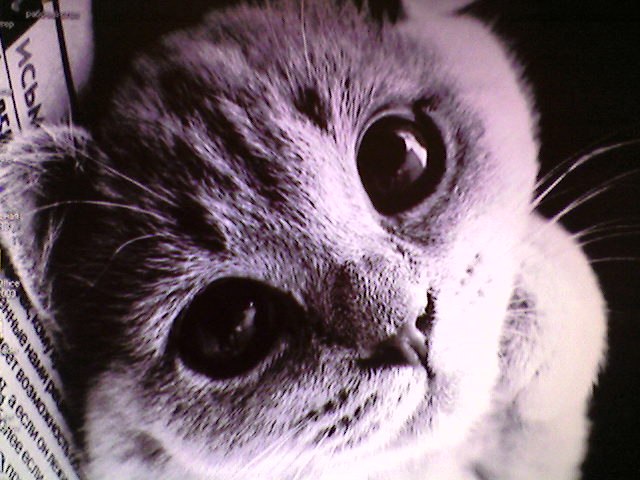 Катя Дерягина | Шлиссельбург