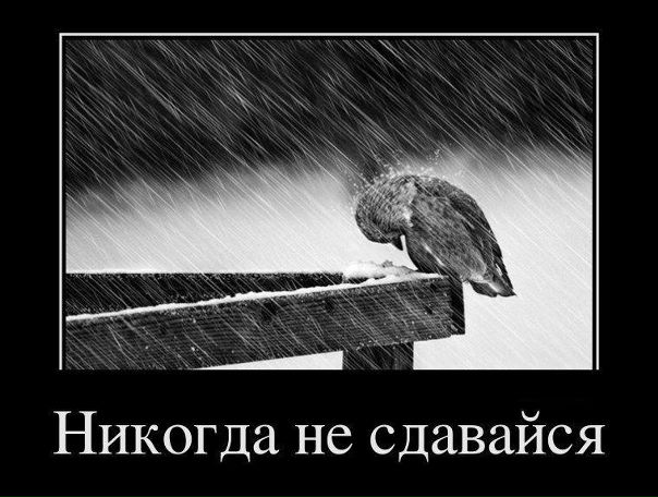 №64, Олег Лысенко, 34 года, Сургут №64, Олег Лысенко, 34 года, Сургут