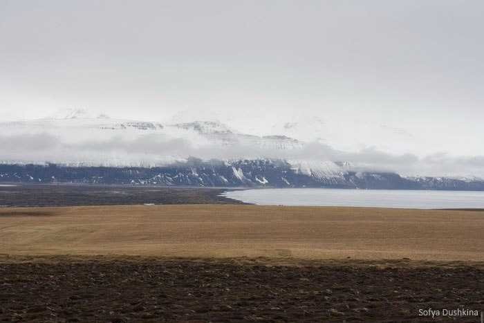 Соня Душкина | Reykjavík