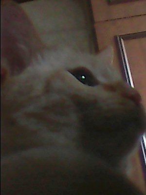 Диана Каплий (^_____^) | Москва